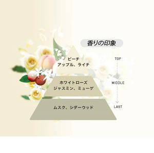 Adoucissant Textile de Luxe FUNS Fabriqué au Japon N°92 Rose Blanche Musquée 600ml Adoucissant Premium pour Linge Parfum Longue Durée Antistatique - Product Image 5