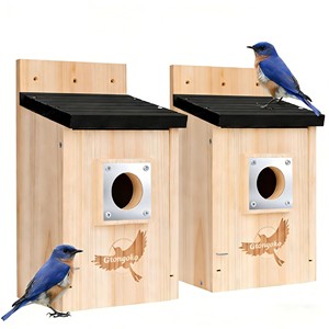 Casa para Pájaros Hecha a Mano, Ecológica y Tradicional de Madera de Sheesham con Percha - Decoración del Hogar, Madera de Palisandro India al por Mayor - Product Image 3