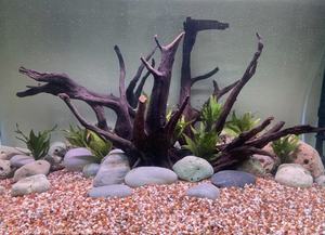 Bois flotté d'aquarium, racine d'arbre naturelle pour la décoration d'aquarium et de terrarium - Product Image 4