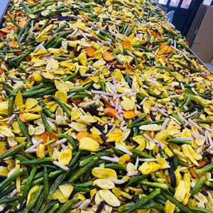 Mezcla de Verduras y Jaca Secas Crujientes de Vietnam en Bolsa al Vacío de 7 kg para Mejorar la Experiencia de Cine en Casa 99 Gold Data - Product Image 1