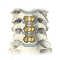 Plaque de fusion cervicale antérieure à profil bas en alliage de titane médical approuvée CE pour la chirurgie spinale