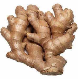 <b>Fresh</b> <b>ginger</b> factory exporter at wholesale rate best quality available at best price - Product Image 6