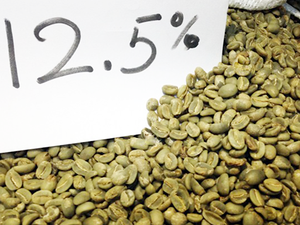 เมล็ดกาแฟอาราบิก้าออร์แกนิกสีเขียว ได้รับการรับรองมาตรฐาน ISO 22000 เกรด AA+ ขนาด 16 ผลิตจากเวียดนาม ส่งออกจากโรงงานโดยตรง ความชื้นสูงสุด 12.5% - Product Image 1