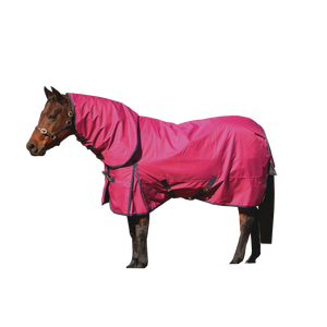 Couverture de cheval en flanelle de coton personnalisée et tendance, imperméable, avec boucle de sangle, usage polyvalent pour le dressage, ajustement premium pour toutes les saisons - Product Image 4