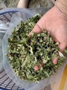 Hojas de guayaba secas de alta calidad de Vietnam, producto agrícola a precio competitivo - Product Image 5