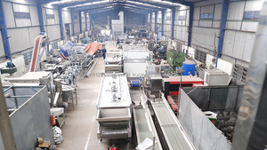 Máquina de línea de procesamiento de anacardos de la fábrica de Vietnam máquina de recubrimiento de anacardos w320 Tanzania Benin Nigeria - Product Image 2