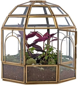 Terrario de Vidrio de Lujo para Centro de Mesa de Sala de Estar y Decoración Interior Premium con un Atractivo Decorativo Elegante - Product Image 2