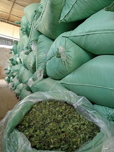 Feuilles de stévia séchées vietnamiennes de haute qualité en gros - Product Image 3