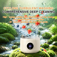 LD451 Machine de nettoyage des fruits et légumes à ions hydroxyle, 3 modes, 2000 mAh, Type-C, IPX4, personnalisable avec logo OEM, pour usage domestique et commercial