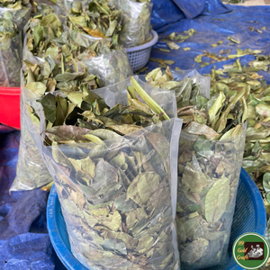 Hojas de guanábana secas al sol, material natural de hoja para mezclas de té e ingrediente para bebidas de Vietnam - Product Image 2