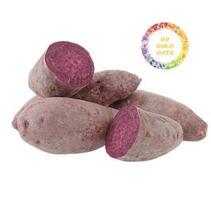 Wholesale Price Frozen Sweet Potato Slices Round Cut Nutritious for Japan Retail Market Direct Factory Source Low Cost - Product Image 5