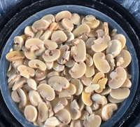 Champignons en gros en fût de 10 kg, entiers/tranchés, mélangés, salés et conservés pour la transformation alimentaire