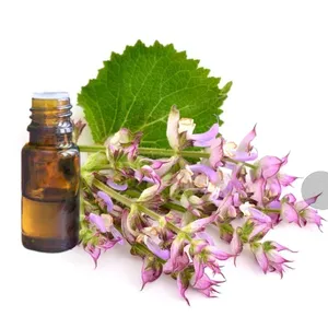 High Quality Clary Sage Essential <b>Oil</b> for Skin Hair Aromatherapy <b>Diffuser</b> Pure Natural Steam Distilled <b>Oil</b> Wholesale Bulk Supply - Product Image 4