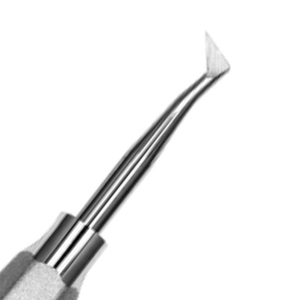 Élévateur dentaire chirurgical A31 Cryer en acier inoxydable, instrument de chirurgie buccale, outil d'extraction dentaire réutilisable - Product Image 2