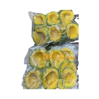 Gevroren avocado puree in bulk voor gezonde smoothies & drankenbasis