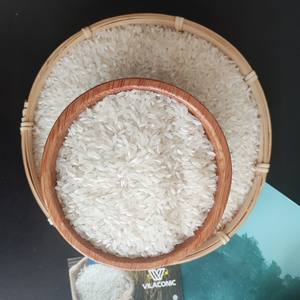 Nuevo Arroz Calrose para Sushi Cosecha 2026, Textura Suave, Calidad Certificada Estándar de la UE, Suministro a Granel, Precio Económico de Fábrica Vilaconic - Product Image 3