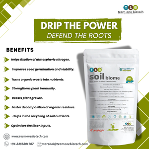 Organic Microbial <b>Soil</b> Conditioner for Crop Productivity - Product Image 2