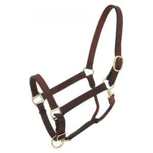 Premium Nylon Horse <b>Halter</b> with Solid Brass Buckles Adjustable Heavy-Duty Equestrian Headstall - Product Image 4