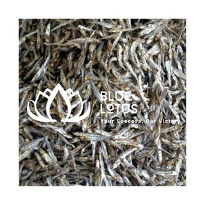 Anchoas Secas Premium de Alta Calidad, Pescado Seco Sostenible, Suministro al por Mayor para Restaurantes y Servicios de Catering - Product Image 1