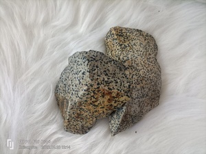 Piedra Natural de Jaspe Dálmata en Bruto, Gema Curativa, Espécimen Mineral para Reiki, Meditación, Decoración del Hogar y Colección - Product Image 2