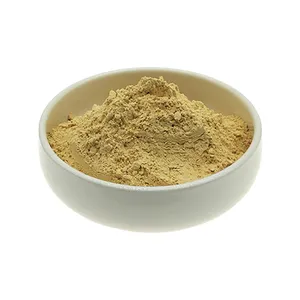 Offering Wholesale Ginger Extract with Ginger Root Powder/Ginger Oil, containing 5% Gingerols, to Buyers