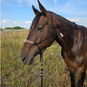 Longe en corde tressée en nylon pour cheval avec muserolle perlée turquoise, longe d'entraînement réglable, OEM en gros - Product Image 2