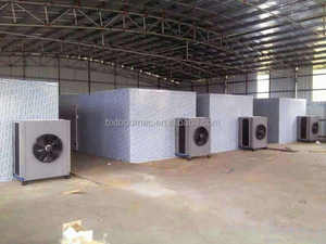 Séchoir à mangue commercial Machine à fruits Séchoir industriel pour aliments Séchoir à légumes Machine à fruits secs - Product Image 5