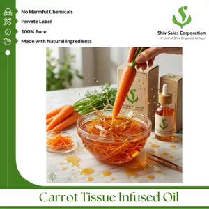 High Standard 100% Pure Carrot Tissue Infused Oil Cosmetic Grade Beauty Care Manufacturing Cosmetic Industry Formulation - Product Image 4