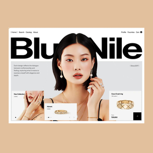 Los Mejores Servicios de Desarrollo de Sitios Web/Aplicaciones para Compras de Joyería - ProtoLabz eServices - Product Image 1