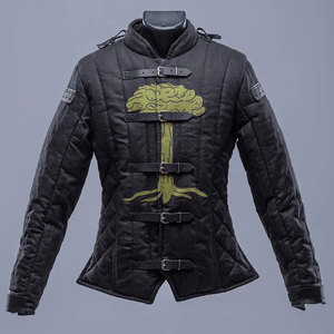 Chaqueta Gambeson Medieval Acolchada con Estampado Gráfico Personalizado, de Algodón Resistente, Protectora para LARP, Reenactamiento y Entrenamiento 2026 - Product Image 1