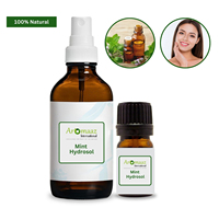 100% Cairan Hidrosol Mint Alami yang Disuling dengan Uap, Pasokan Grosir dalam Jumlah Besar untuk Produk Kosmetik