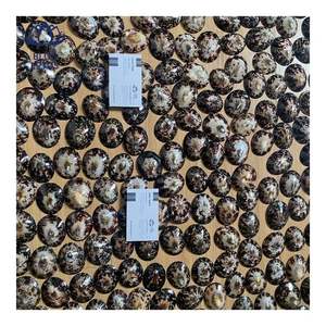 EN STOCK Coquille de limette adaptée à la protection de la peau et au confort personnel, surface lisse et polie pour un contact doux - Product Image 1