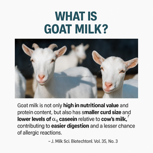 OEM Goat Milk <b>Protein</b> Powder High Calcium Collagen Supplement for Adults with Muscle Growth and <b>Bottle</b> & Spoon Korea Health - Product Image 3