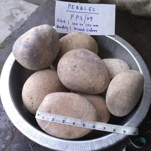 PP SINGH STONE COMPANY Carbonato de Calcio 100% Puro de Grado Industrial, Polvo de Dolomita, Piedras Trituradas de Uttar Pradesh, India - Product Image 1