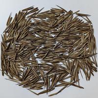 Semillas de Bambú Naturales de Primera Calidad, Semillas de Bambú Secas de Grado Alimenticio, Semillas Herbales Indias, Venta al por Mayor, Exportación, Suministro a Granel