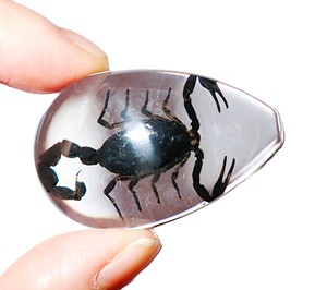 Black Scorpion Real Specimen Plastic Cabochon Pear Cut <b>Top</b> 46x30 mm Clear Flat Bottom for Crafts and Jewelry Making - Product Image 4