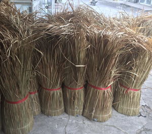 Vietnam Factory Direct Grass Thatch Roofing Natural Grass Panels for Resort Hotel Roof Cover Outdoor Summer Application - Product Image 1