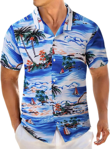 Ensemble 2 pièces décontracté pour hommes, style hawaïen, chemise boutonnée avec short assorti, tenue de vacances - Product Image 2