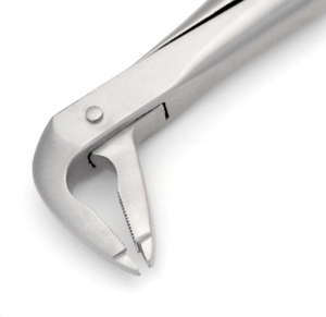 Pinzas de Extracción de Agarre Profundo 36N, 3.5mm, para Incisivos y Bicuspides de Mandíbula Inferior, Agarre Paralelo, Acabado Mate, Acero Inoxidable Quirúrgico Dental - Product Image 2