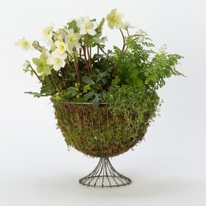 Support de pot de fleurs en fer polyvalent finition bronze, compatible avec différentes tailles de pots, pour une arrangement élégant des plantes d'intérieur et d'extérieur - Product Image 2