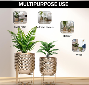Juego de 2 Macetas de Hierro Pulido Dorado con Soporte, Acabado Pulido, Macetas Modernas y Elegantes para Uso en Interiores o Exteriores - Product Image 2