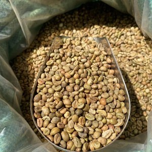 Vietnam Robusta Honey Process Coffee <b>Beans</b> Green Bulk Wholesale Export Quality Supplier - Product Image 2