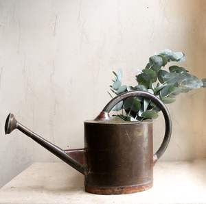 Regadera de jardín compacta y moderna de metal para macetas pequeñas, suculentas y maceteros de interior - Product Image 3