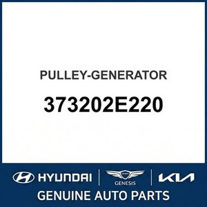 Forte Nouvelles Pièces et Accessoires pour Voitures et Camions 373202E220 - Product Image 1