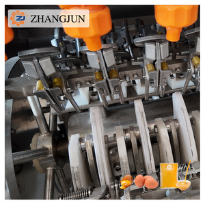 Công SuấT 35000 toàn bộ dây chuyền sản xuất chất lỏng trứng cho máy móc chế biến thực phẩm - Product Image 3