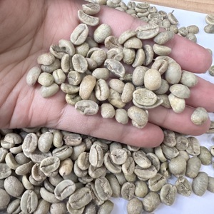 Grains de café vert Arabica du Vietnam SCR13 SCR16 SCR18 Entièrement lavés Qualité Premium Exportation Vente en gros pour Torréfacteurs Importateurs ANNA - Product Image 4