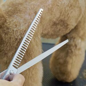 Tijeras Profesionales Ecológicas para Adelgazar el Pelo de Mascotas, Herramientas de Peluquería Canina de Acero Inoxidable de 7.0 Pulgadas - Product Image 1