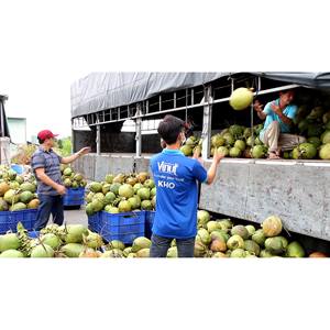 Eau de coco 490ml 16.57 floz boisson 24 canettes par carton peuvent OEM ODM marque privée pur naturel HACCP ISO Halal certifié - Product Image 3