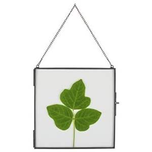 Custom Wholesale Gold Metal Hexagon Wall Hanging <b>Photo</b> <b>Frame</b> Clear Glass <b>Floating</b> <b>Frame</b> for Home Decoration | Modern <b>Photo</b> <b>Frame</b> - Product Image 5