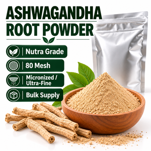 Poudre de racine d'Ashwagandha de qualité Nutra, 80 Mesh, filtrée micronisée, Withania Somnifera, fournisseur en gros, exportateur Inde B2B - Product Image 1